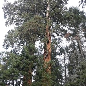 Meet your Posher, Edith